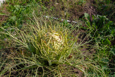 Similar image 21675378