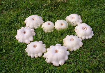 Similar image 21672199