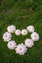 Similar image 21672200