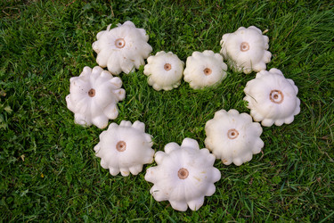 Similar image 21672201