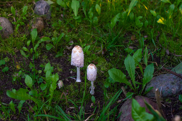 Similar image 21665362