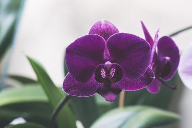 Similar image 21674503