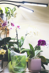 Similar image 21674506