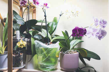 Similar image 21674509