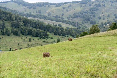 Similar image 21674462