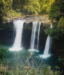 Similar image 21667496