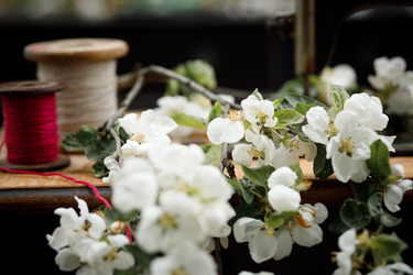 Similar image 21685299