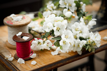 Similar image 21685304