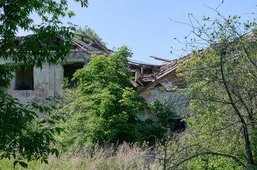 Similar image 21682924