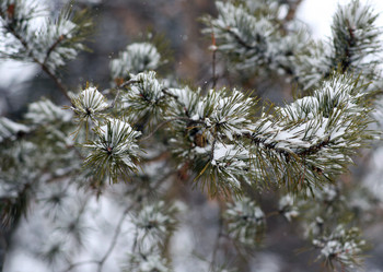 Similar image 21674314