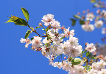 Similar image 21674315