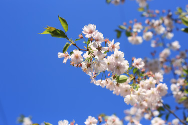 Similar image 21674316