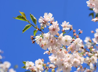 Similar image 21674317