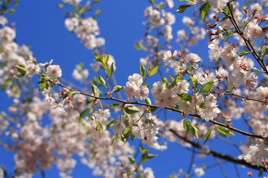 Similar image 21674318