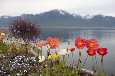 Similar image 21672089