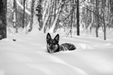 Similar image 21671796