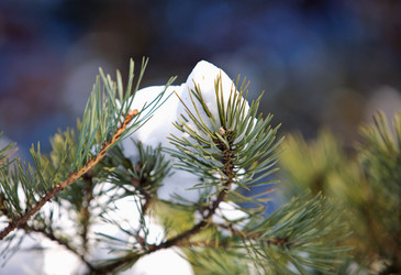 Similar image 21671797