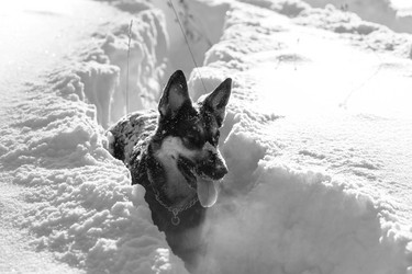 Similar image 21671799