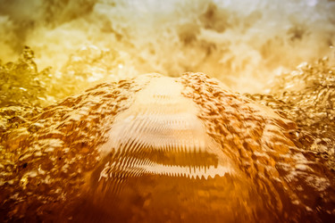 Similar image 21669099