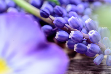 Similar image 21669101