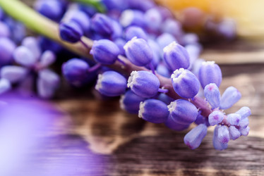 Similar image 21669102