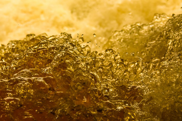 Similar image 21669107