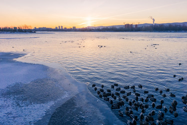 Similar image 21670543