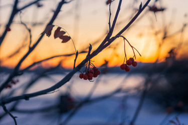 Similar image 21670544