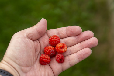 Similar image 21670549