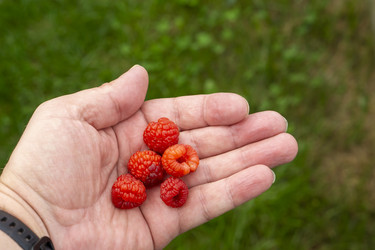 Similar image 21670550