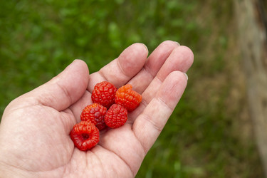 Similar image 21670551