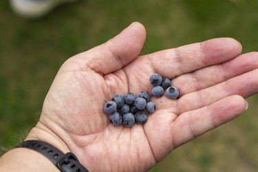 Similar image 21670552