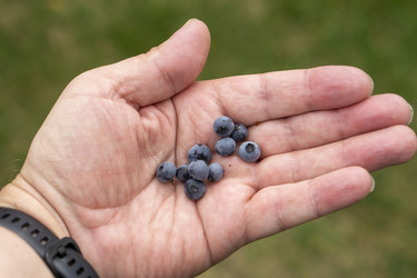 Similar image 21670553