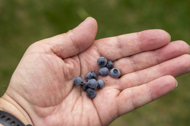 Similar image 21670554