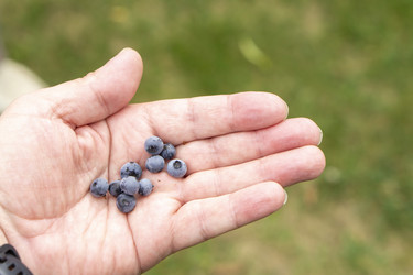 Similar image 21670555