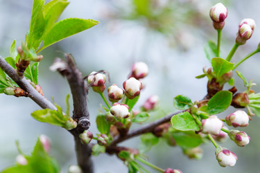 Similar image 21678022