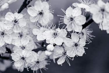 Similar image 21672092