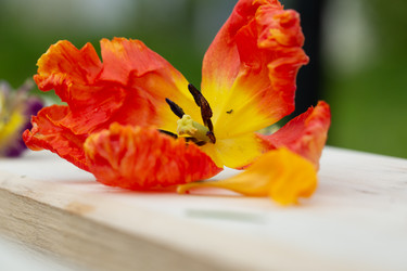 Similar image 21674320