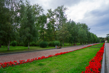 Similar image 21668851