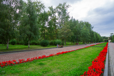 Similar image 21668853