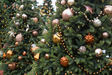 Similar image 21671800