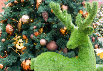 Similar image 21671801