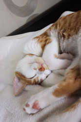 Similar image 21672686