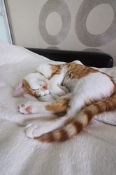 Similar image 21672687