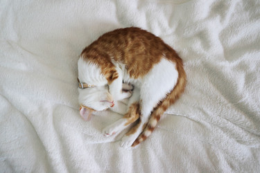 Similar image 21672688