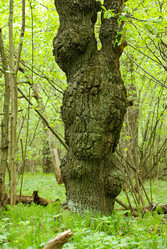 Similar image 21678611