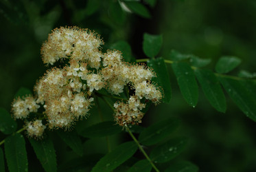 Similar image 21678612