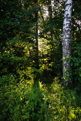 Similar image 21678613