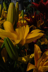 Similar image 21678614