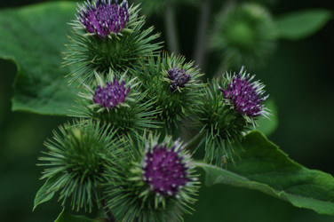 Similar image 21678615